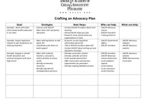 Advocacy Strategy Template Advocacy Planning Document