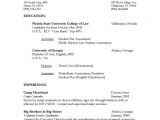 Advocate Resume format Word 8 Lawyer Resume Templates Doc Excel Pdf Free