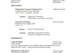 Advocate Resume format Word 8 Lawyer Resume Templates Doc Excel Pdf Free