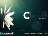 After Effects Templates Free Download Cs5 Flower Logo Videohive Free Download Free after