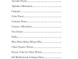 Alliteration Poem Template Alliteration Template Google Search Poetry Pinterest
