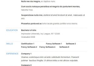 An Example Of A Basic Resume 70 Basic Resume Templates Pdf Doc Psd Free