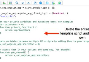 Angular Script Template Ui Scripts Servicenow Developers