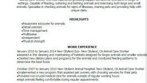 Animal Caretaker Resume Sample Professional Animal Care Worker Templates to Showcase Your