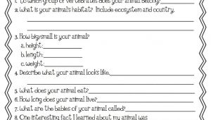 Animal Research for Kids Template 1000 Images About 1st Grade Animal Habitats On Pinterest