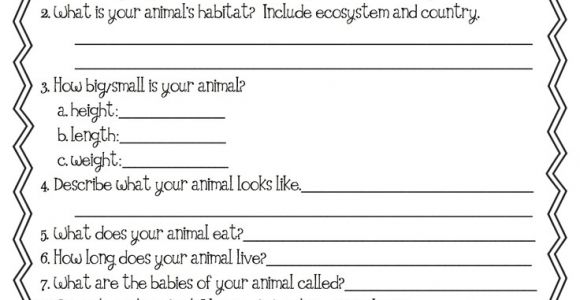 Animal Research for Kids Template 1000 Images About 1st Grade Animal Habitats On Pinterest