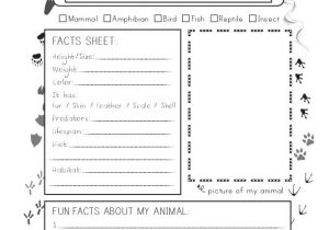 Animal Research for Kids Template Animal Research Graphic organizer All Kids Network