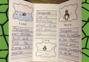 Animal Research for Kids Template Animal Research Templates for Primary Grades Vocabulary