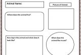 Animal Research for Kids Template Common Core Animal Research Graphic organizer K 5