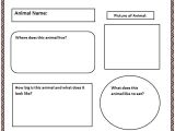 Animal Research for Kids Template Common Core Animal Research Graphic organizer K 5