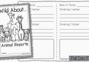 Animal Research for Kids Template Fall Into First Zoopals Animal Reports
