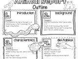 Animal Research for Kids Template Teacher Laura Animal Reports for Older Kids