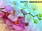 Anniversary Card for Didi Jiju Idea by Romaana On Birthday Marriage Anniversary Quotes