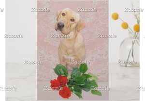 Anniversary Card Ideas for Him Cute Dog Anniversary Card Zazzle Com with Images Funny