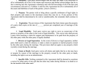 Antenuptial Contract Template Prenuptial Agreement Template