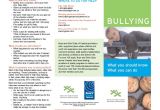 Anti Bullying Brochure Template Bullying Brochure Template 11 Free Pdf Documents