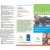Anti Bullying Brochure Template Bullying Brochure Template 11 Free Pdf Documents