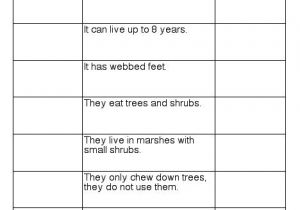 Anticipation Guide Template Anticipation Guide Love This Layout Literacy and