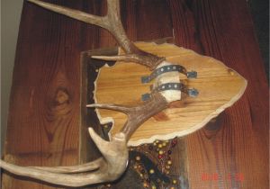 Antler Plaque Template Antler Plaque Do It Yourself Hunter by Design