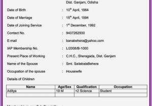 Application for A Job with A Bio Data or Resume Pin by Shaikhasaif On Download In 2019 Biodata format