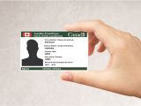 Application for Professional Identification Card form Veteran S Service Card Canada Ca