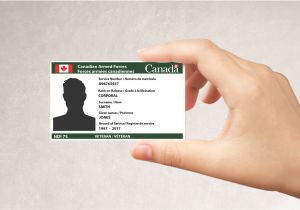 Application for Professional Identification Card form Veteran S Service Card Canada Ca