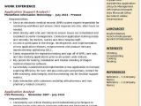 Application Support Analyst Sample Resume Application Support Analyst Resume Samples Qwikresume