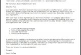 Applying for Promotion Cover Letter Cover Letter Promotion Letter Of Recommendation