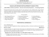 Area Of Expertise Resume Sample How to Customize Your Resume Blue Sky Resumes Blog