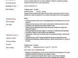 Area Of Expertise Resume Sample It Executive Resume Example Sample Technology