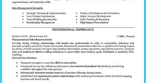 Area Of Expertise Resume Sample Resume Words for Sales Position