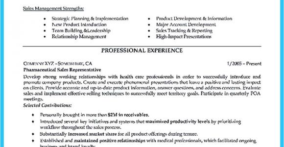 Area Of Expertise Resume Sample Resume Words for Sales Position