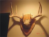 Arrowhead Plaque Template Antler Plaque Do It Yourself Hunter by Design