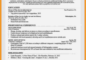 Art Student Resume 12 Curriculum Vitae for Artist Examples theorynpractice