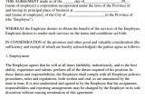 At Will Employment Contract Template Sample Employment Agreement 8 Free Documents Download