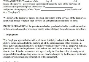 At Will Employment Contract Template Sample Employment Agreement 8 Free Documents Download