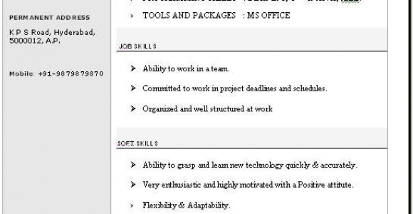 Attractive Resume format Word File Cv format Word Free Professional Cv format In Ms Word Doc