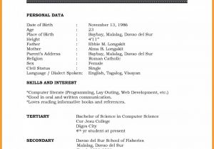 Attractive Resume format Word File Marriage Resume format Word File Beautiful Biodata Doc In