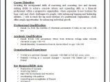 Attractive Resume format Word Resume Blog Co Professional Chartered Accountants Ca