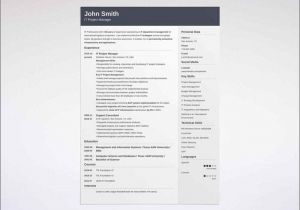 Attractive Resume format Word Transportation Research Papers Heinz College Home