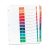 Avery 12 Tab Template Avery 1 12 Tab 11 Quot X 8 5 Quot Contemporary Multicolor Dividers