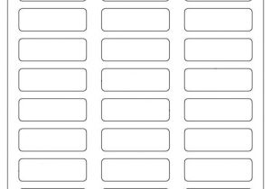 Avery 4 X 3 Label Template 600 Blank Mailing Address Labels 2 1 4 Quot X 3 4 Quot Use Avery