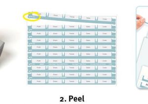 Avery 5 Tab Template 11416 Avery Index Maker Clear Label Dividers with White Tabs 3