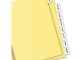 Avery 8 Tab Template 11112 Avery Big Tab Insertable Dividers 8 Tab Clear Ld Products