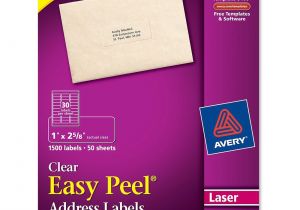 Avery Clear Labels Template 10 Best Images Of Avery 5660 Template with Photo Labels