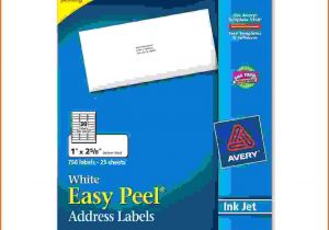 Avery Com Templates 8160 Mailing Labels Avery 8160 Template Tryprodermagenix org