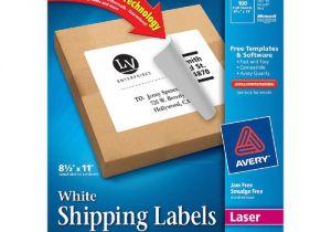 Avery Dennison Label Templates Mailing Label Avery Dennison 5165 Ave5165 Labels