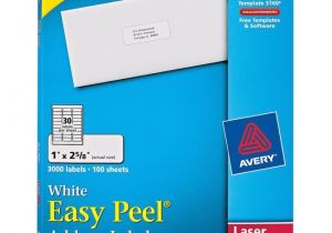 Avery Easy Peel Labels Template 5160 Printer