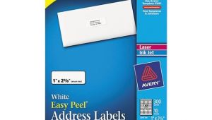 Avery Label Template 18160 Avery 18160 Inkjet Address Labels 1 X 2 5 8 White 300