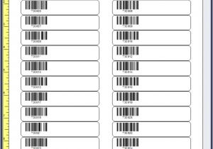 Avery Label Template 5066 Handy Library Manager Tutorial Evaluate Barcode Label